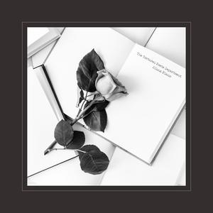 一区二区无码嫩模酒店
